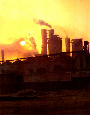 Pak-Arab Fertilizer Factory