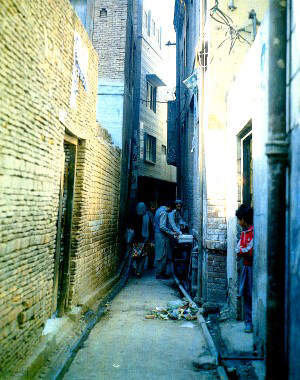 The Narrow Lanes