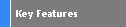 Key Features