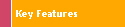 Key Features