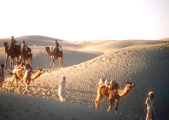 Photo Gallery of Sindh / thar_desert