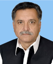 na-33