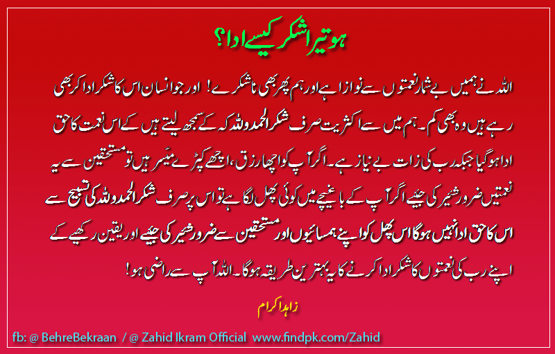 ہو تیرا شکر کیسے ادا